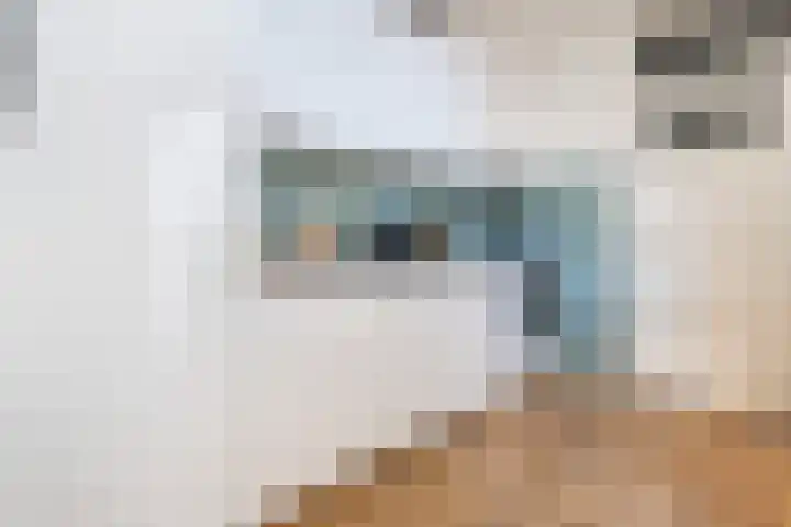 Balijelaan 39 Utrecht thumbnail 15