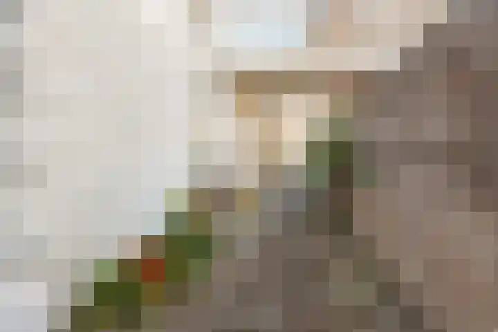 Balijelaan 39 Utrecht thumbnail 24