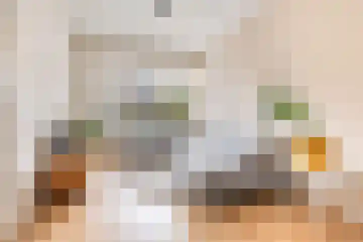 Balijelaan 39 Utrecht thumbnail 5