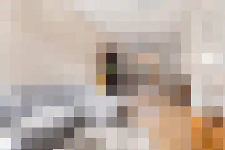 Balijelaan 39 Utrecht thumbnail 7