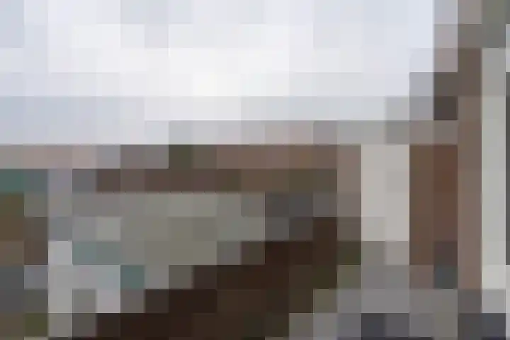 Balijelaan 52 D Utrecht thumbnail 10