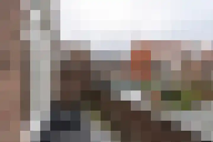 Balijelaan 52 D Utrecht thumbnail 11