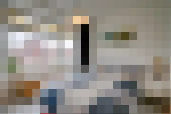 Balijelaan 52 D Utrecht thumbnail 13