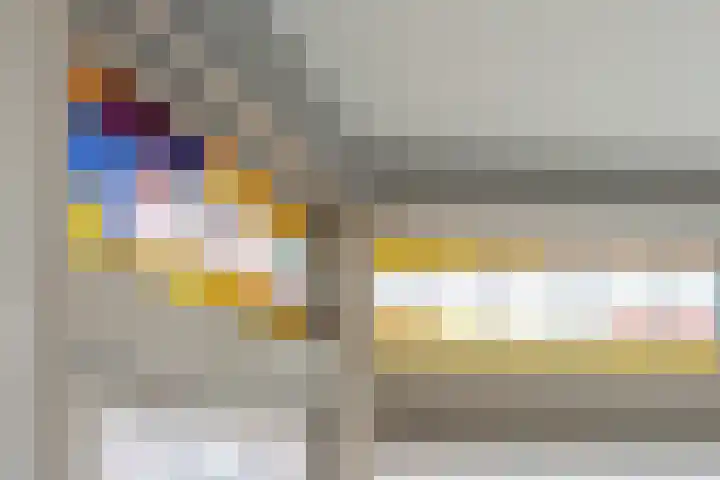 Balijelaan 52 D Utrecht thumbnail 15