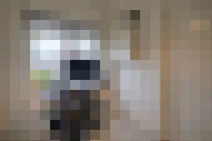 Balijelaan 52 D Utrecht thumbnail 16