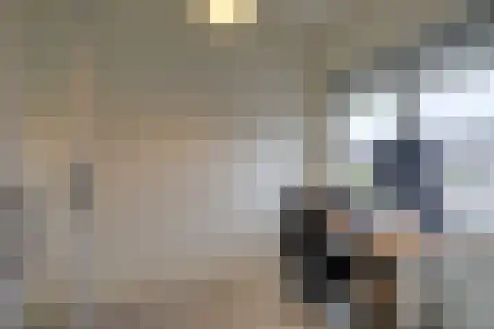 Balijelaan 52 D Utrecht thumbnail 17