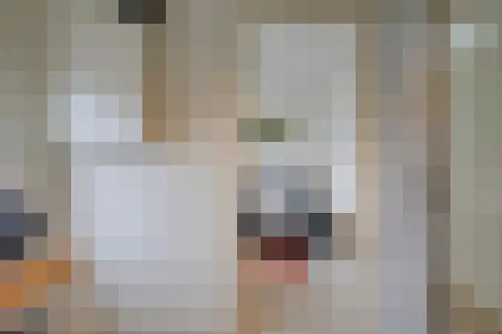 Balijelaan 52 D Utrecht thumbnail 19