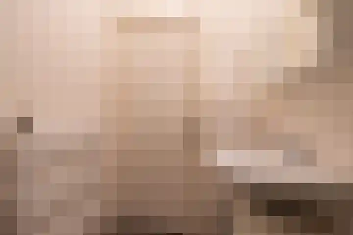 Balijelaan 52 D Utrecht thumbnail 22