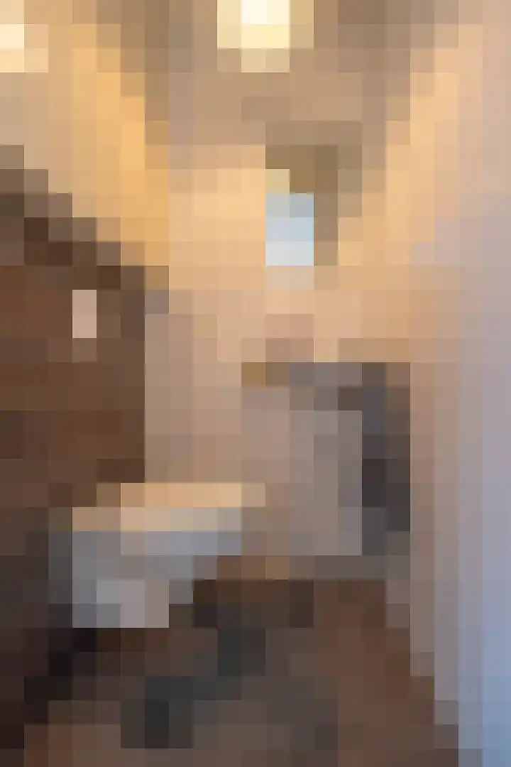 Balijelaan 52 D Utrecht thumbnail 23