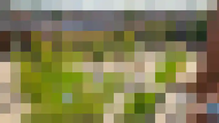 Balijelaan 52 D Utrecht thumbnail 27