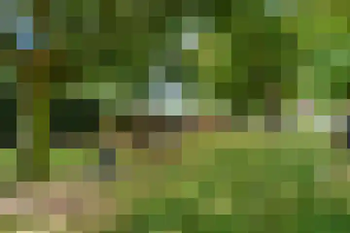 Balijelaan 52 D Utrecht thumbnail 29