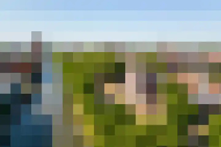 Balijelaan 52 D Utrecht thumbnail 30