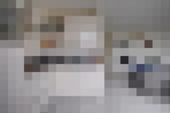 Balijelaan 52 D Utrecht thumbnail 8