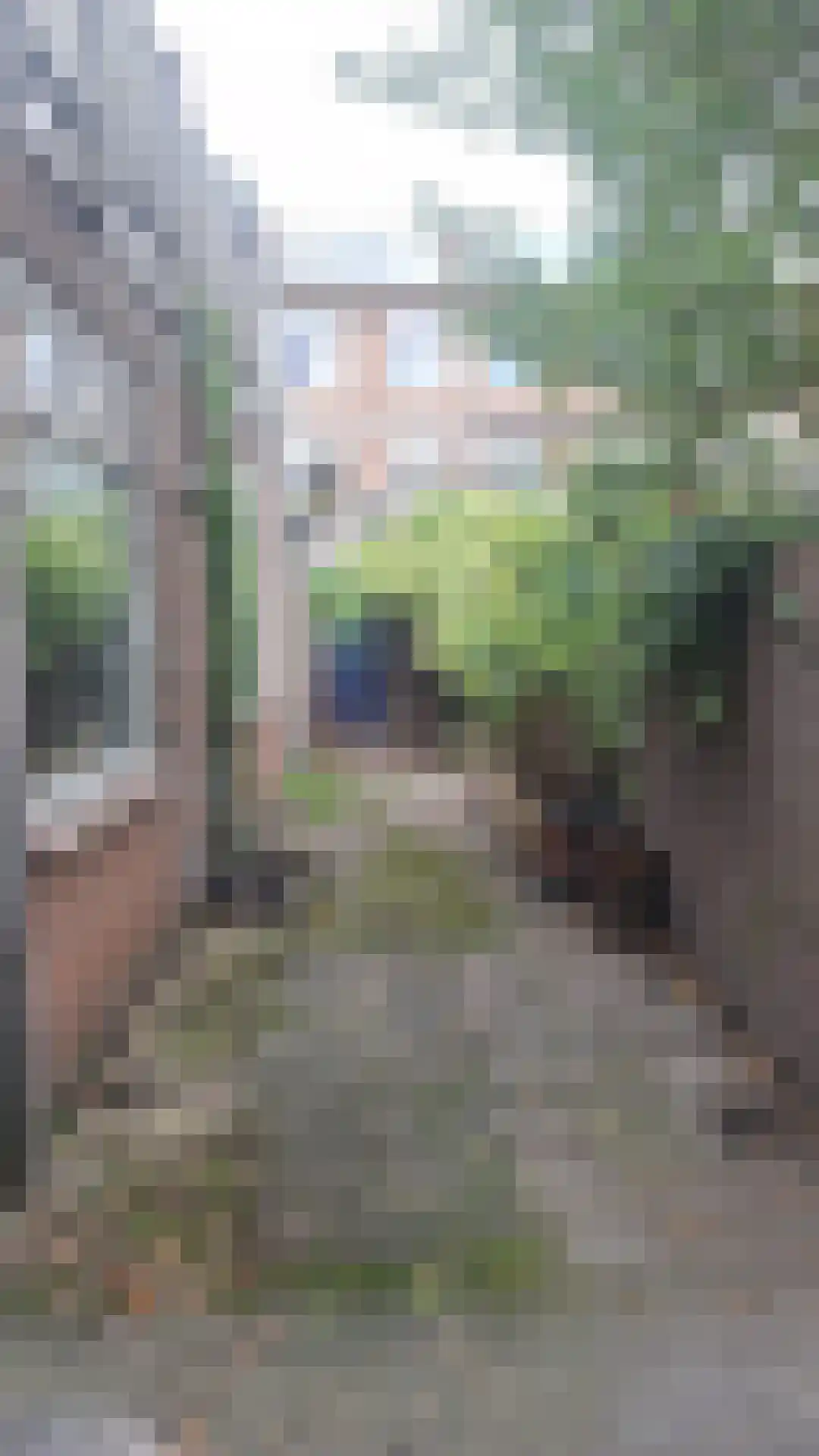 Balijelaan 53 Utrecht thumbnail 6
