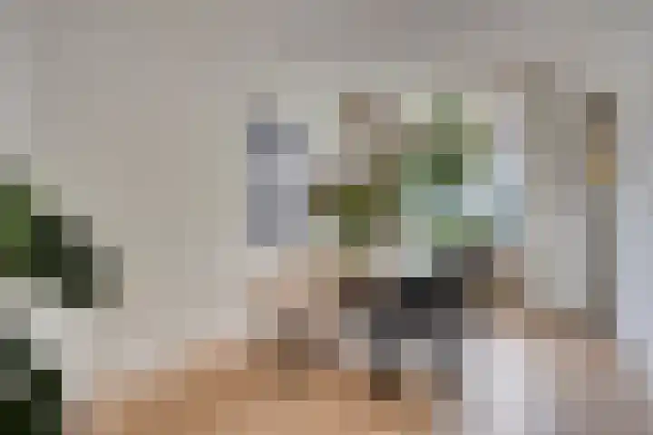 Balijelaan 55 Utrecht thumbnail 10