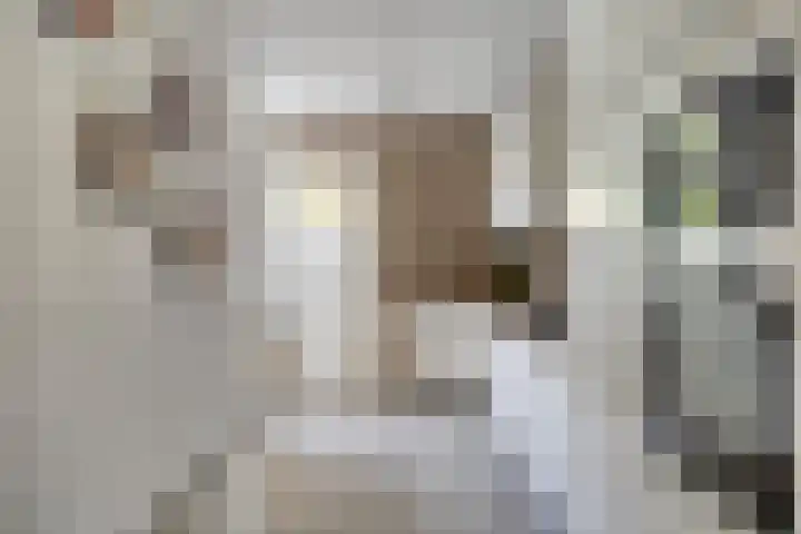 Balijelaan 55 Utrecht thumbnail 11