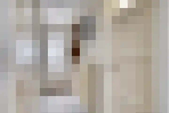 Balijelaan 55 Utrecht thumbnail 15