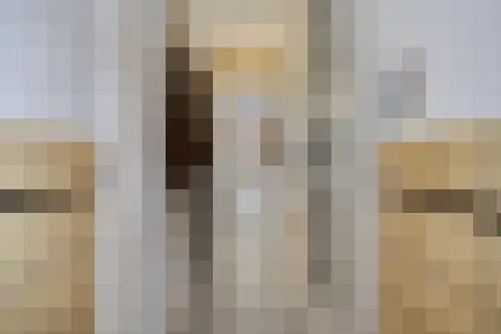 Balijelaan 55 Utrecht thumbnail 16