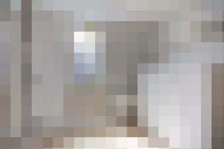 Balijelaan 55 Utrecht thumbnail 24