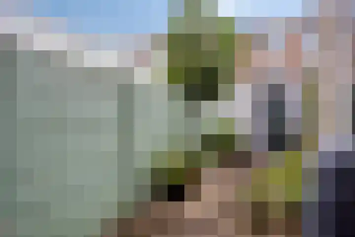 Balijelaan 55 Utrecht thumbnail 25