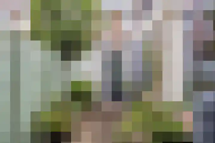 Balijelaan 55 Utrecht thumbnail 26