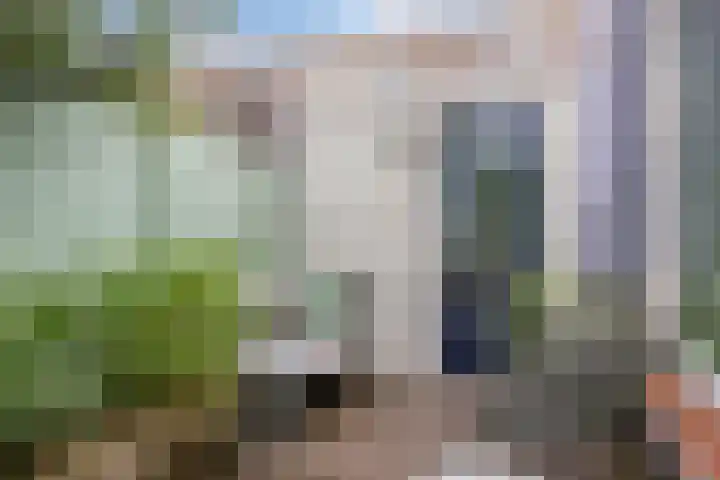 Balijelaan 55 Utrecht thumbnail 27