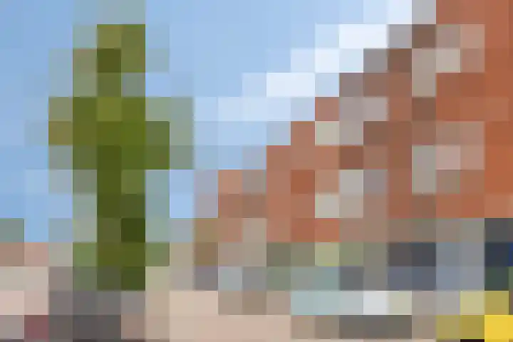 Balijelaan 55 Utrecht thumbnail 29