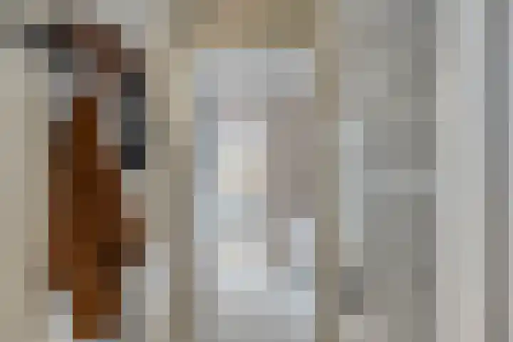 Balijelaan 55 Utrecht thumbnail 5