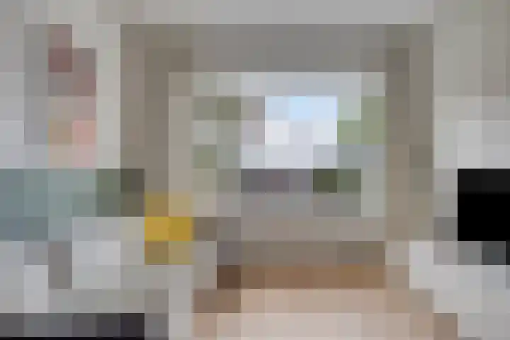 Balijelaan 55 Utrecht thumbnail 6