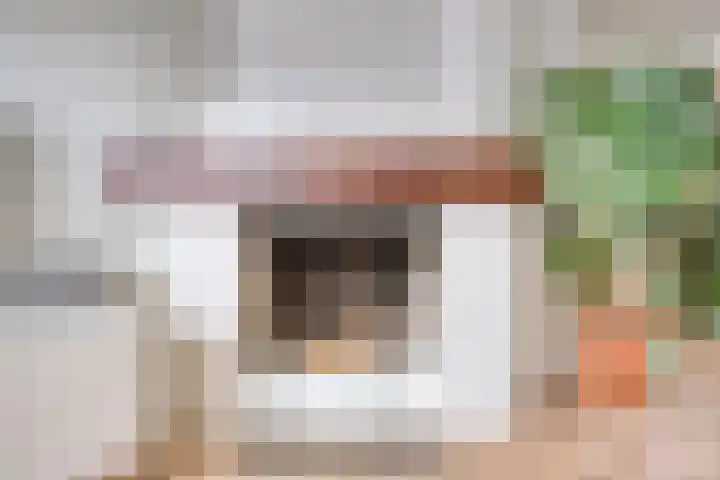 Balijelaan 55 Utrecht thumbnail 9