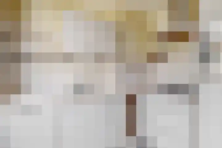 Balijelaan 63 BS Utrecht thumbnail 10