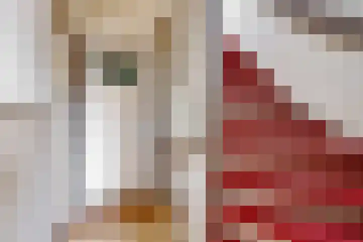 Balijelaan 63 BS Utrecht thumbnail 13