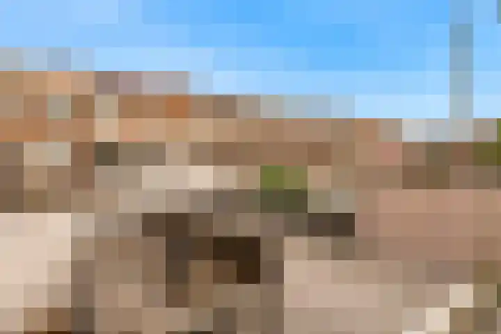 Balijelaan 63 BS Utrecht thumbnail 25