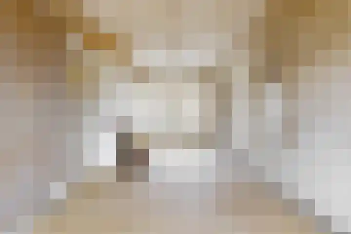 Balijelaan 63 BS Utrecht thumbnail 6