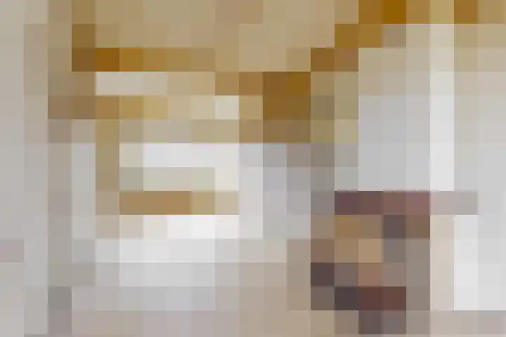 Balijelaan 63 BS Utrecht thumbnail 7