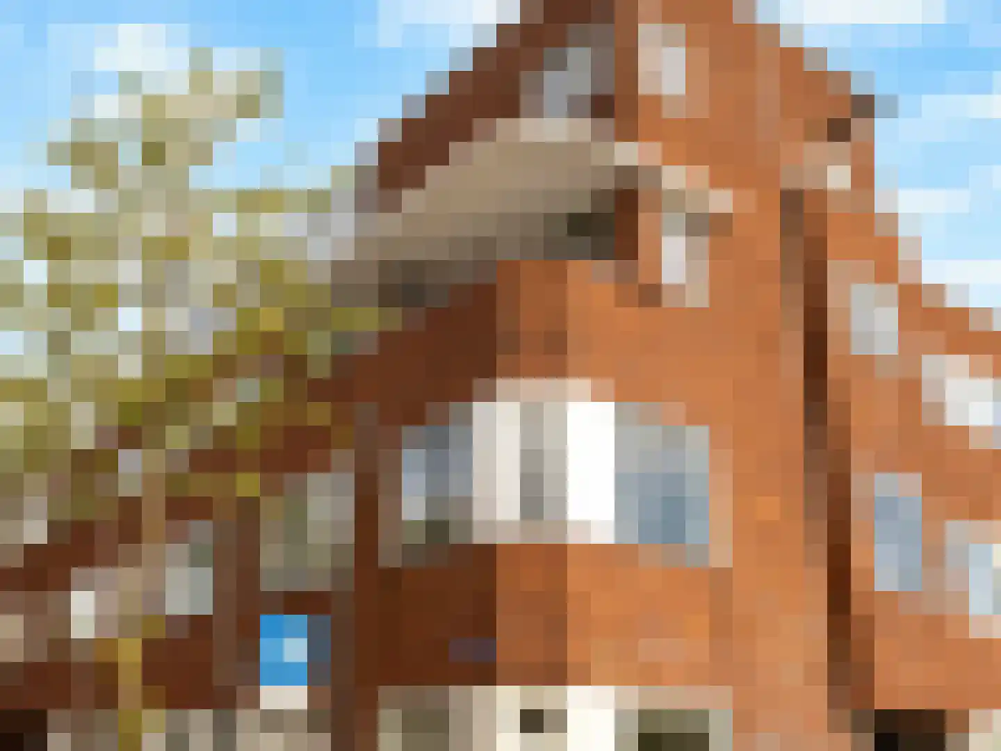 Balijelaan 65 BS Utrecht