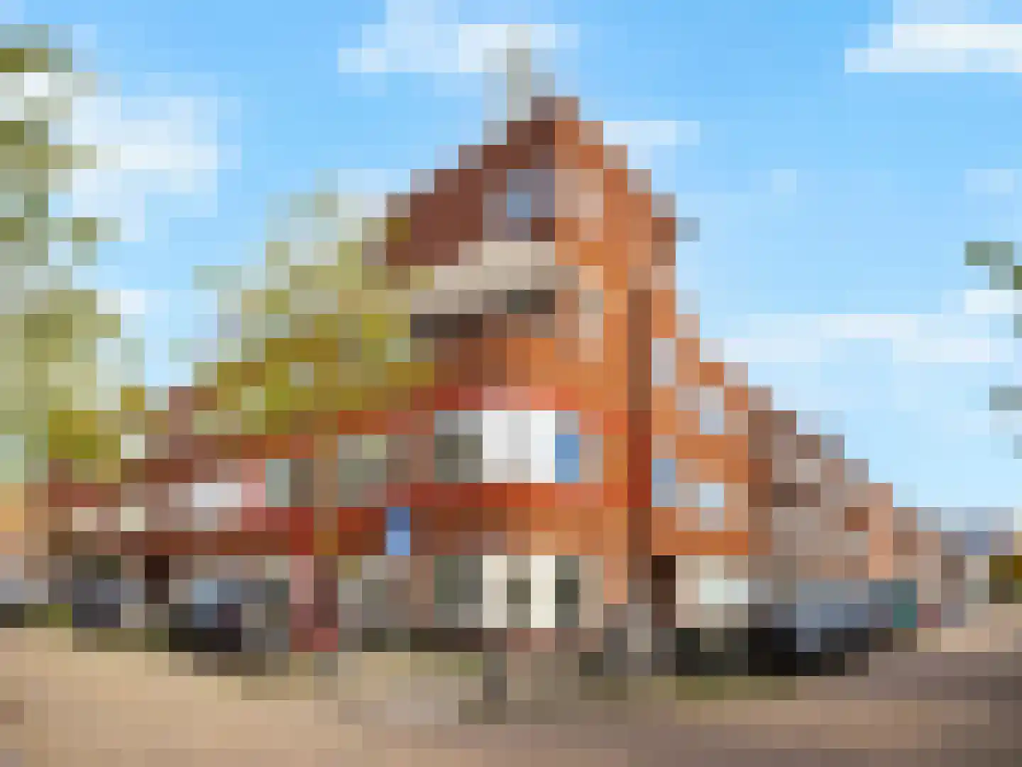 Balijelaan 65 BS Utrecht thumbnail 5