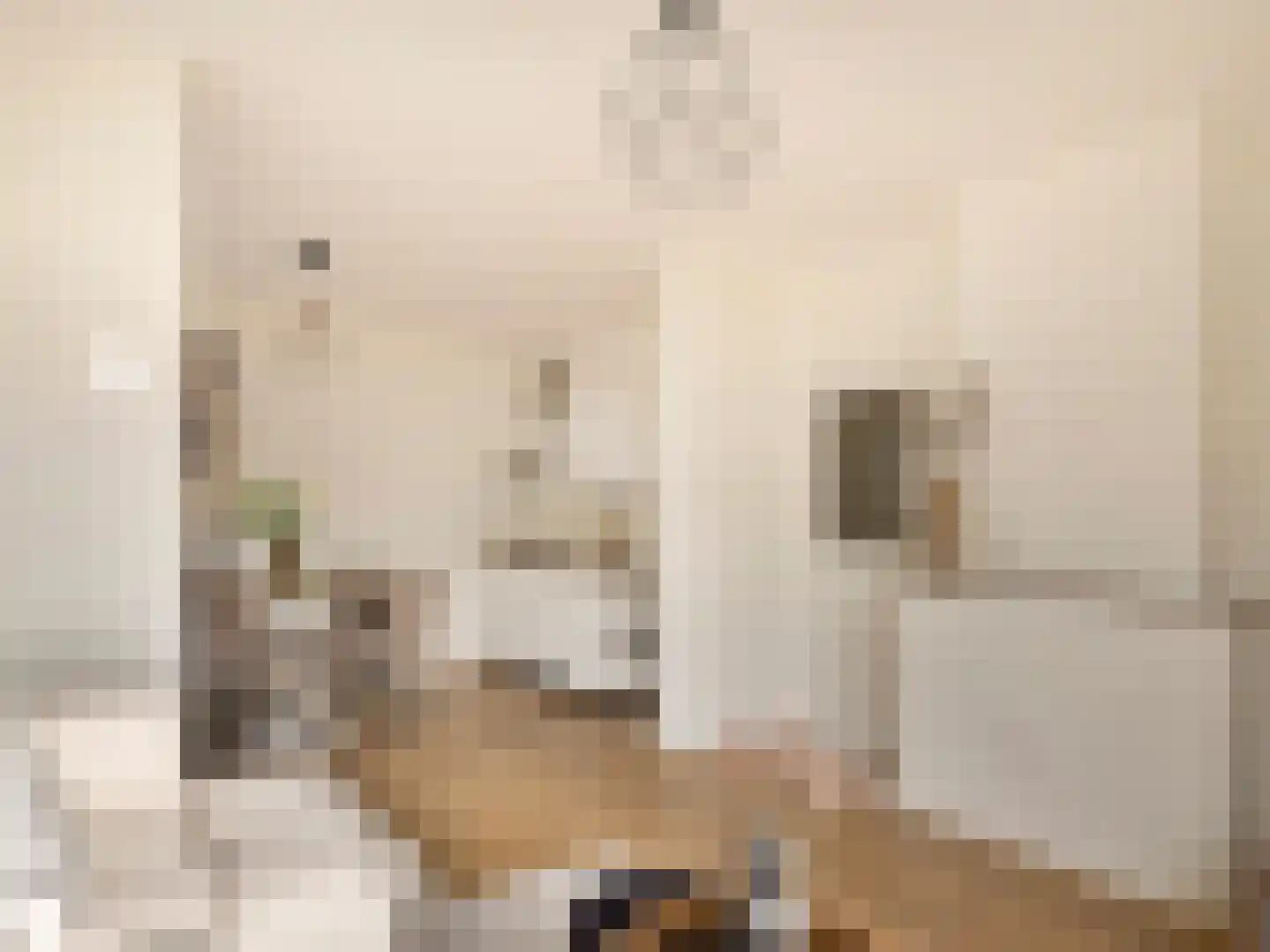 Balijelaan 65 Utrecht thumbnail 11