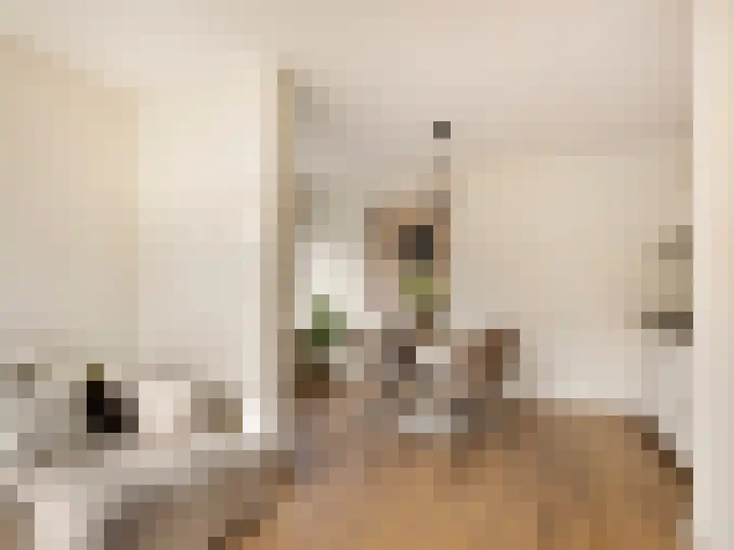 Balijelaan 65 Utrecht thumbnail 12