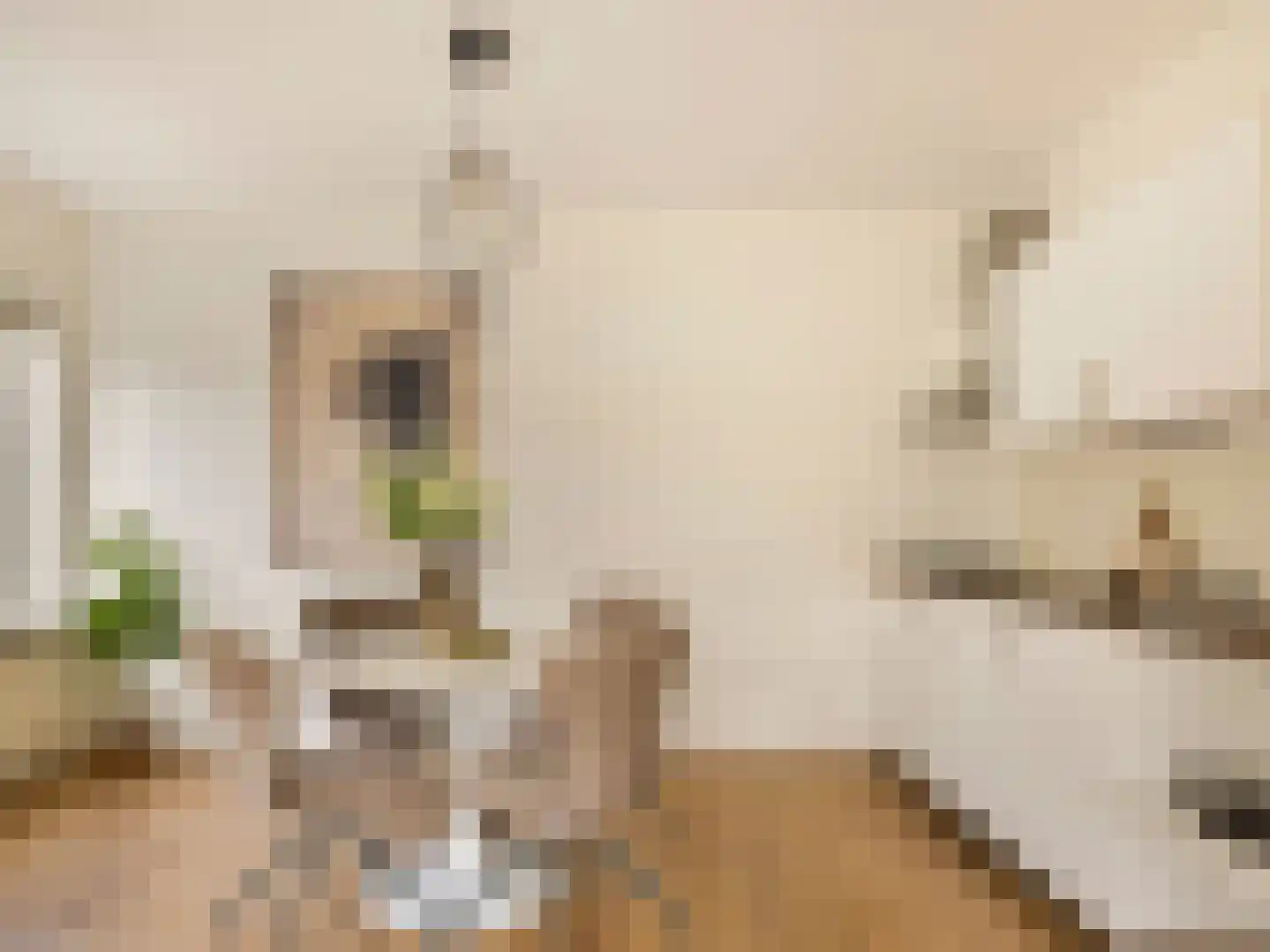 Balijelaan 65 Utrecht thumbnail 13