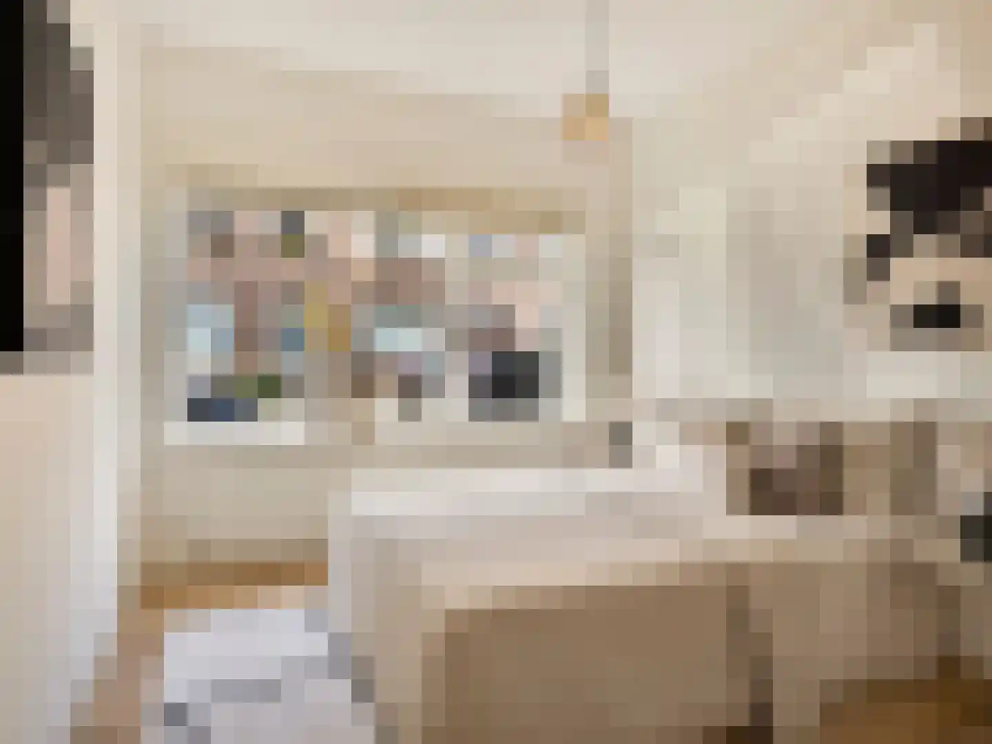 Balijelaan 65 Utrecht thumbnail 15