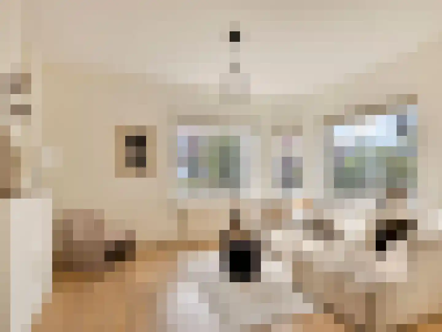 Balijelaan 65 Utrecht thumbnail 9