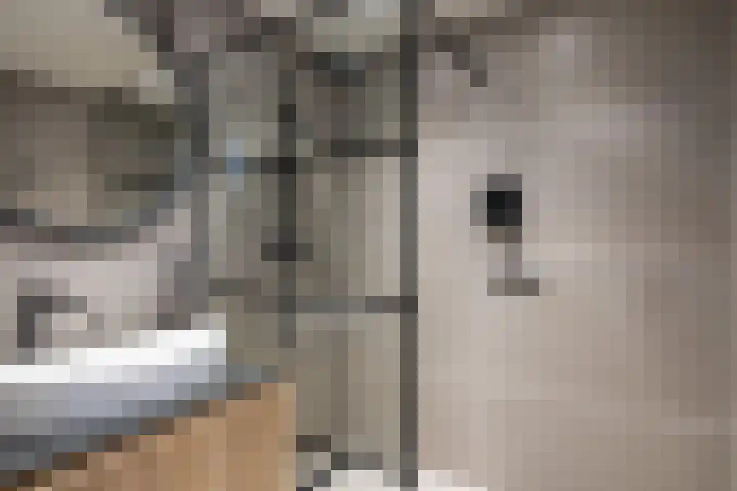 Balijelaan 69 Utrecht thumbnail 20