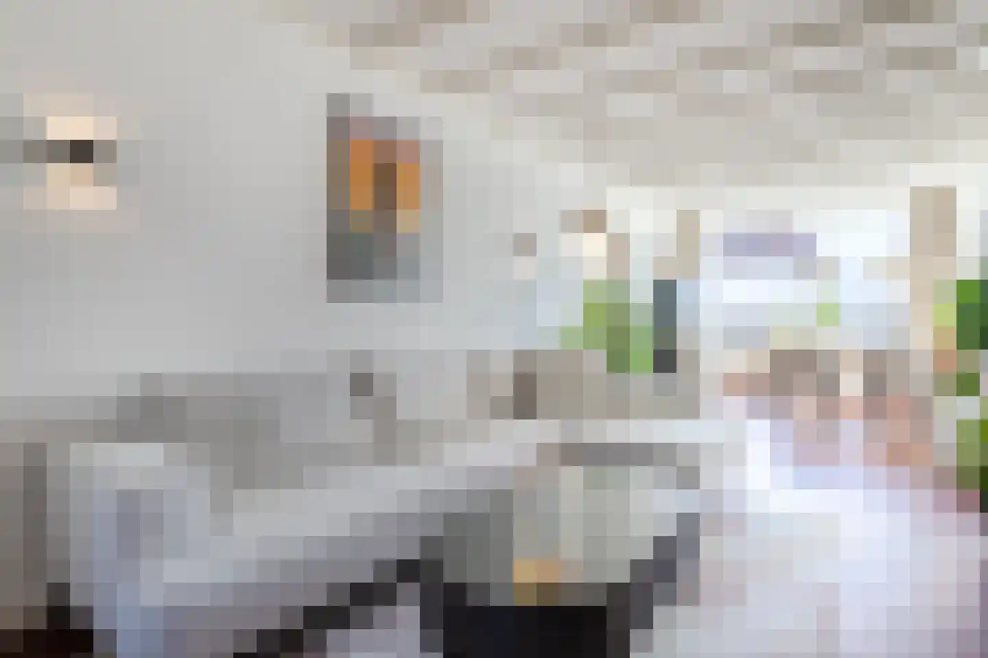 Balijelaan 79 Utrecht thumbnail 11