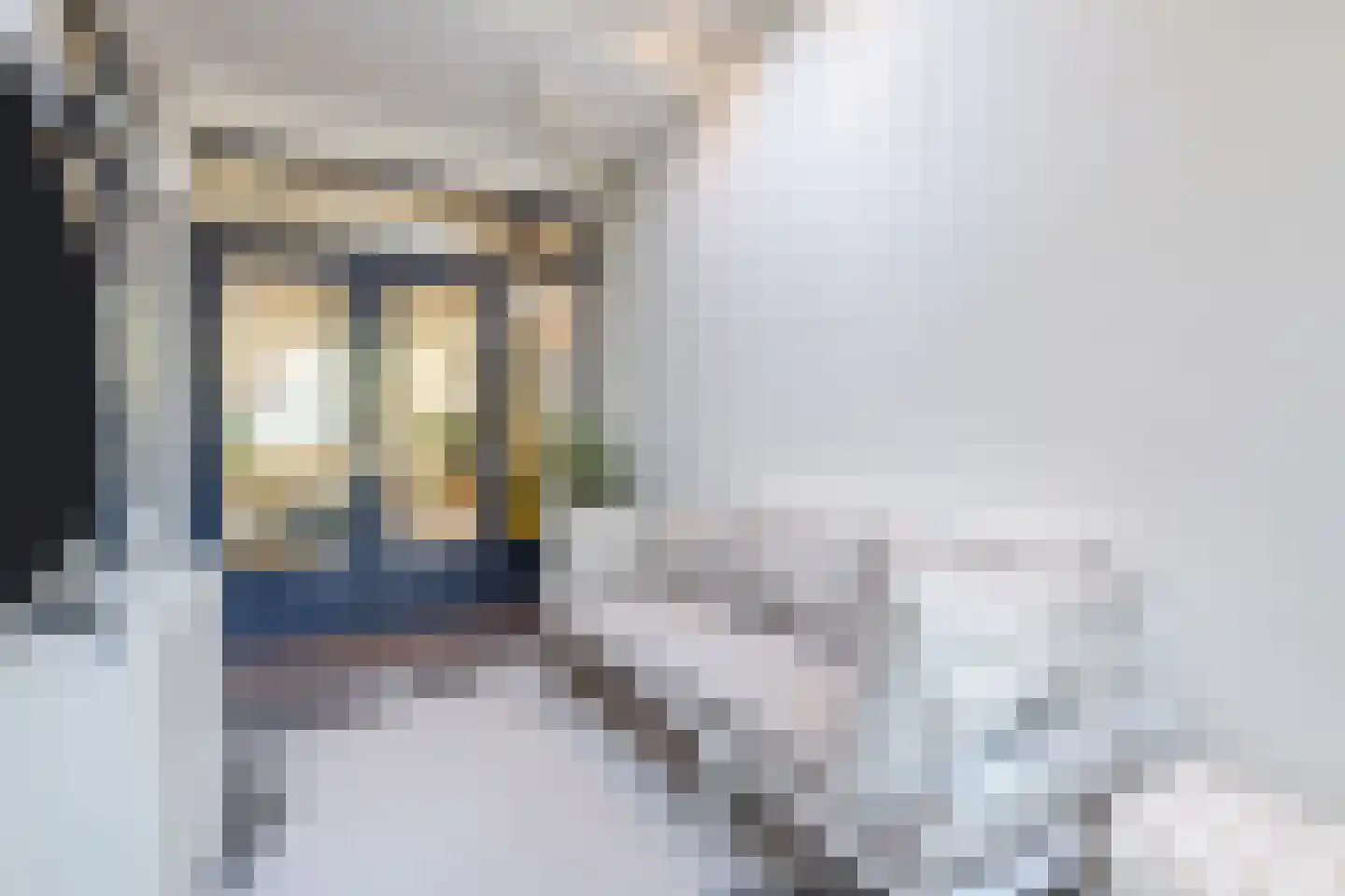 Balijelaan 79 Utrecht thumbnail 17