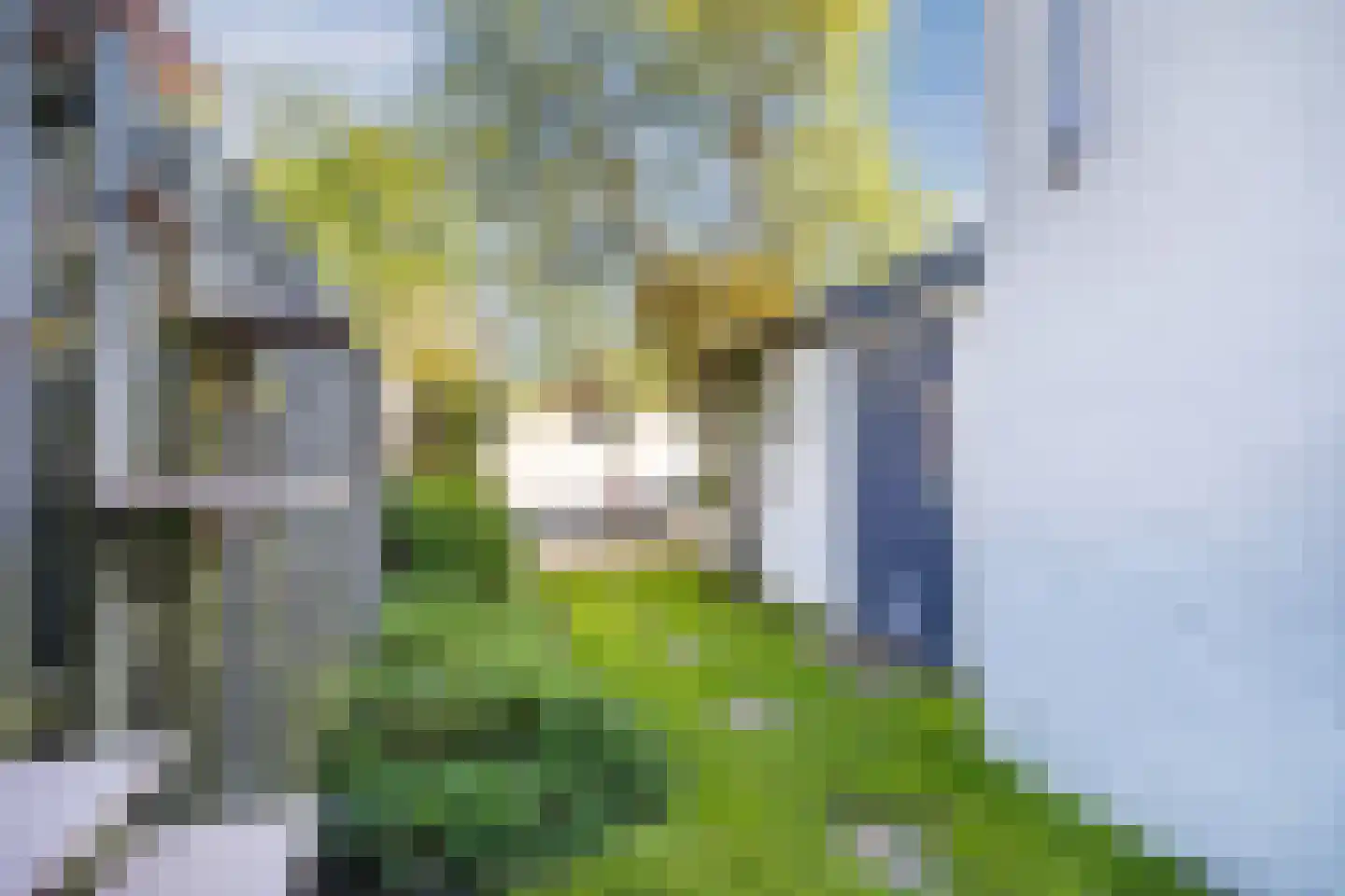 Balijelaan 79 Utrecht thumbnail 31