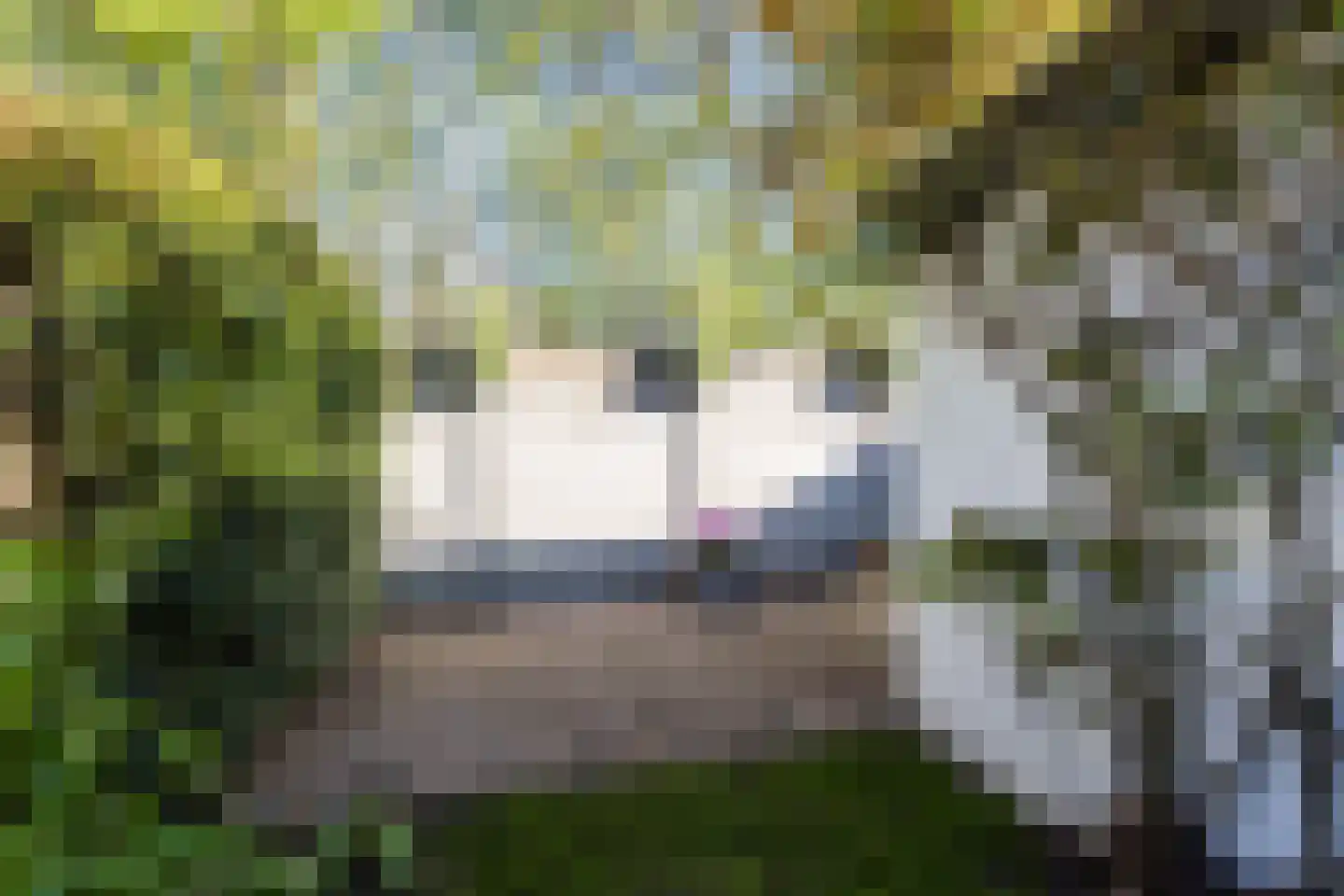 Balijelaan 79 Utrecht thumbnail 32