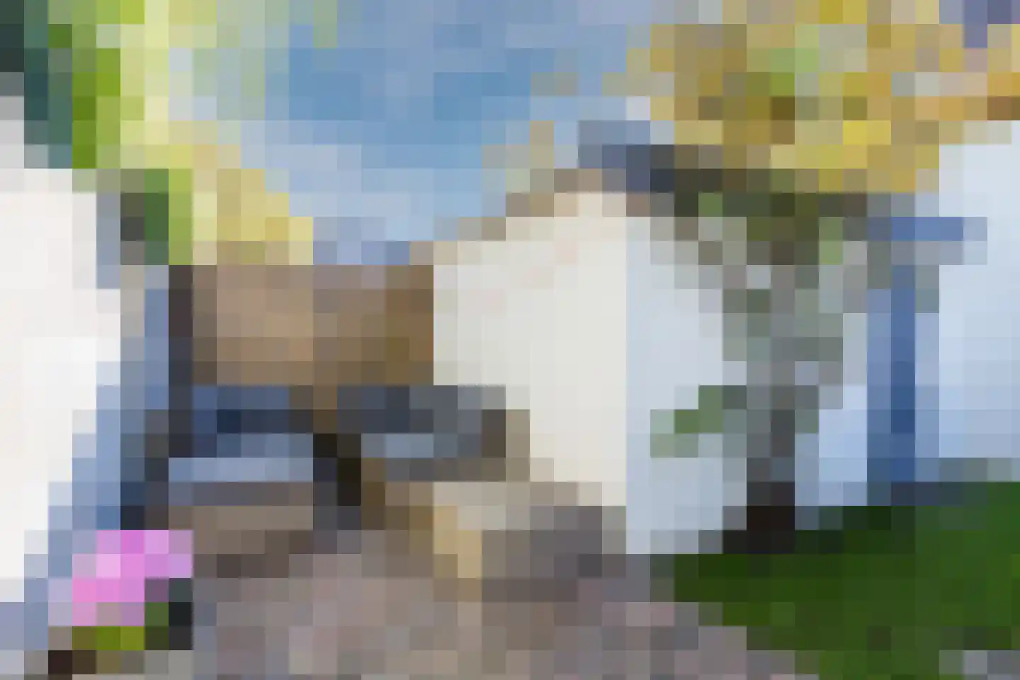 Balijelaan 79 Utrecht thumbnail 33