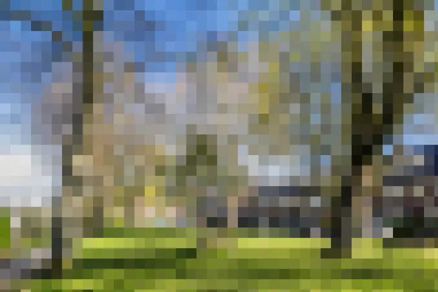 Balijelaan 79 Utrecht thumbnail 38
