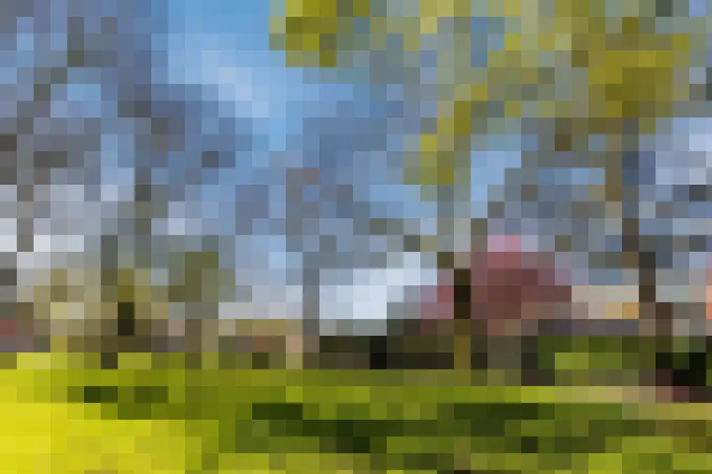 Balijelaan 79 Utrecht thumbnail 39